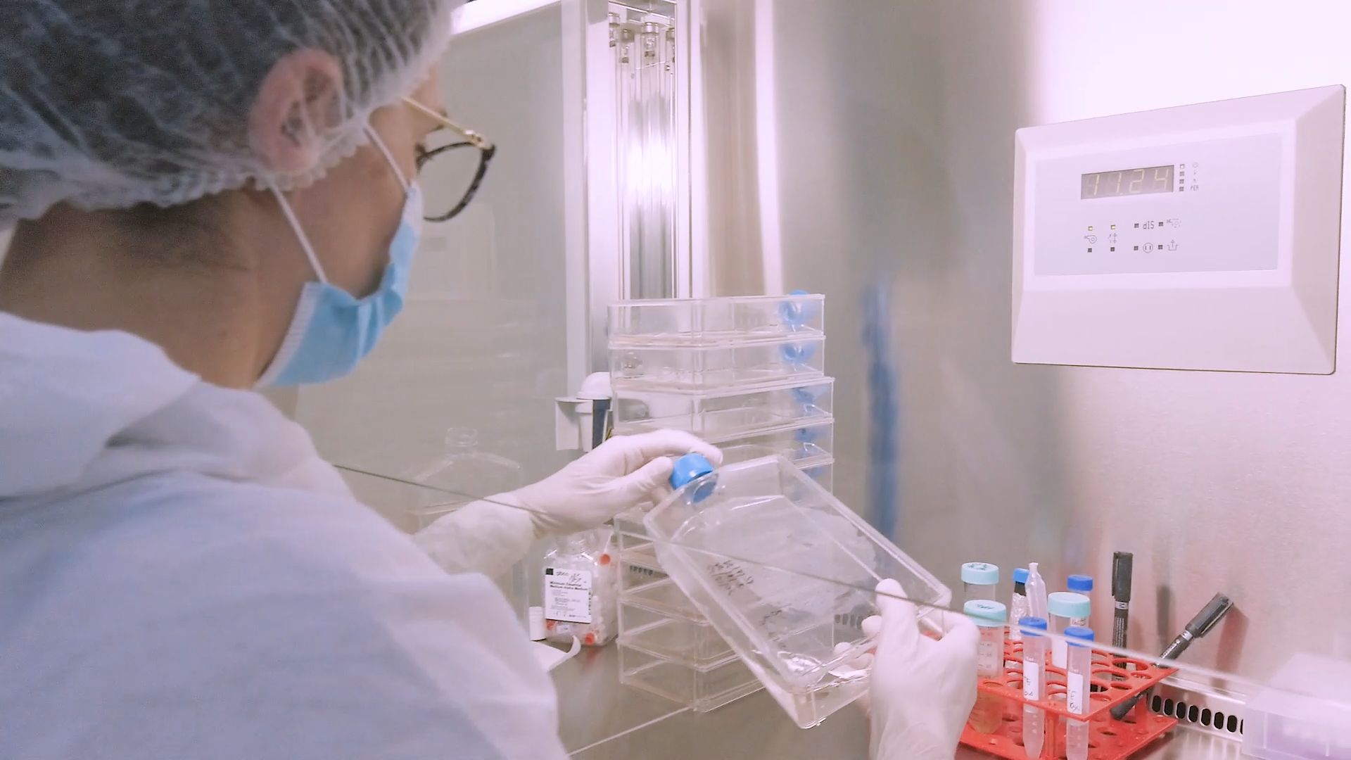 310fbf7e-efe3-42e0-a666-366d11da4a74